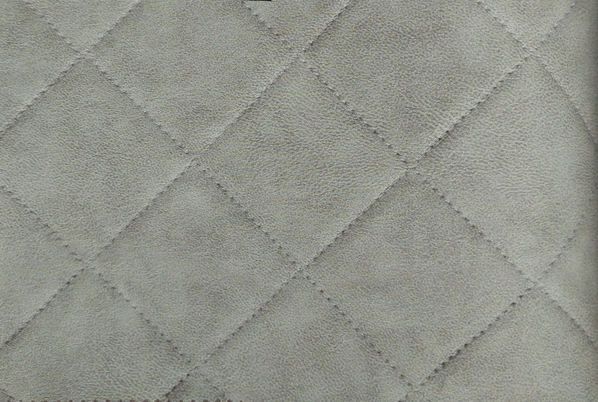 кожа Енджой 407